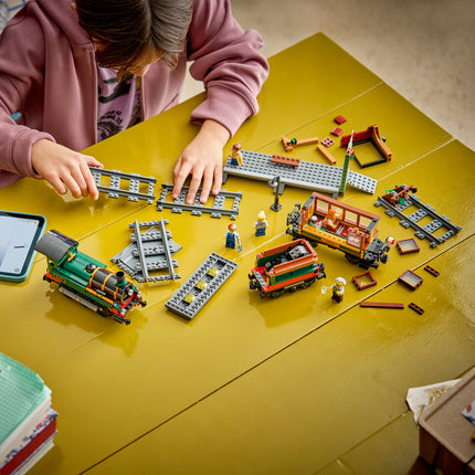 LEGO City (60511)