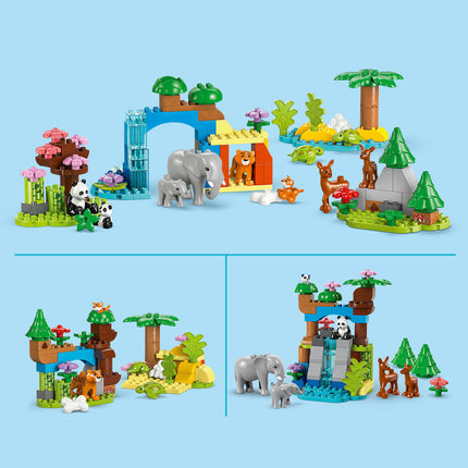 LEGO DUPLO (10446)