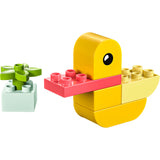 LEGO® DUPLO® - Első kacsám (30673)