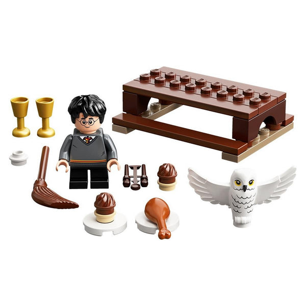 LEGO® Harry Potter™ - Harry Potter és Hedwig (30420)