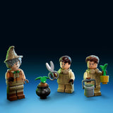 LEGO® Harry Potter™ - Roxfort™ pillanatai: Gyógynövénytanóra (76384)