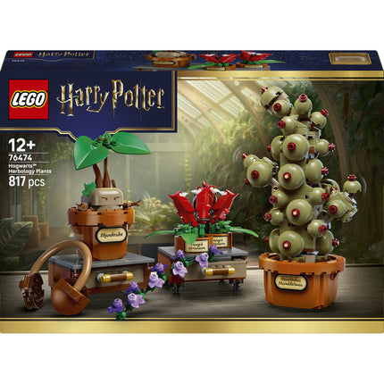 LEGO Harry Potter (76474)