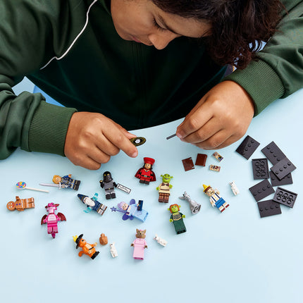 LEGO Minifigures (71053)