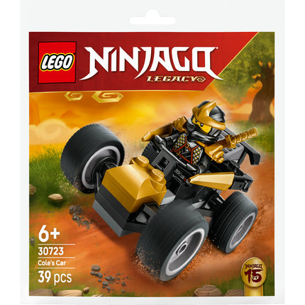 LEGO NINJAGO (30723)