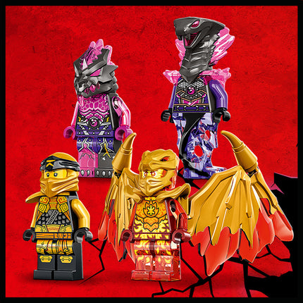 LEGO® NINJAGO® - Cole sárkánycirkálója (71769)