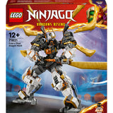 LEGO NINJAGO (71821)
