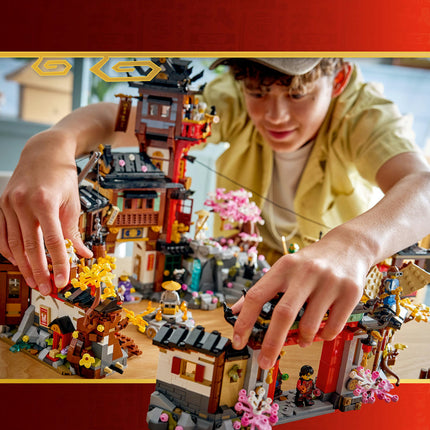 LEGO NINJAGO (71861)