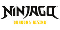 LEGO® NINJAGO®